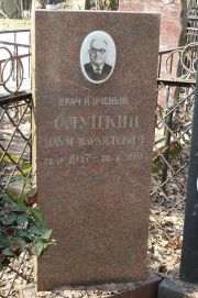 Слуцкин Наум Израилевич, Москва, Востряковское кладбище